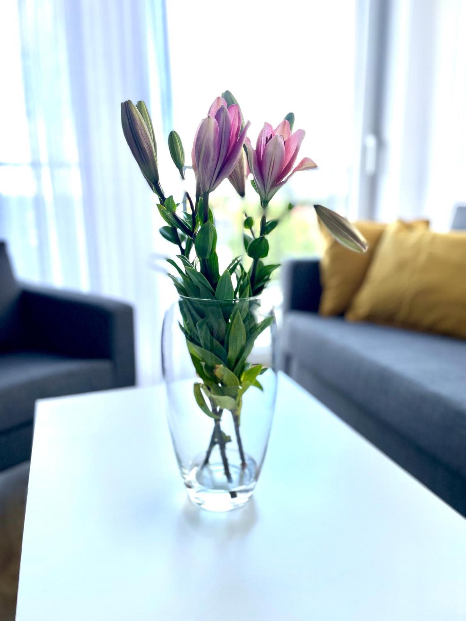 Apartmán Sonja Zator Exteriér fotografie
